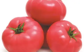 Mei Shuai / Мей Шуаі