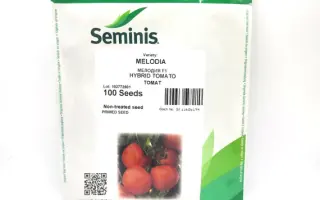 Melodiya F1 / Мелодія F1