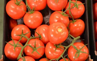 Merlice / Мерліс