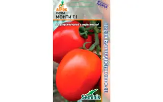 Monty F1 / Монті F1