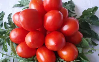 Наддніпрянський 1