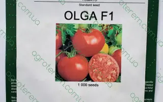Olga / Ольга