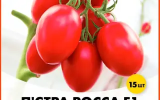 Pietra Rossa / П'єтра Росса