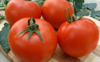 Palava / Палава