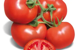 Partova / Партова