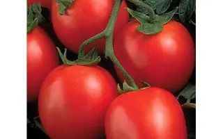 Perfectpeel F1 / Перфектпил F1