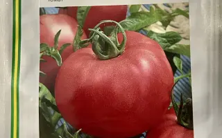 Pink Rose / Пінк Роуз