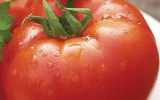 Polbig F1 / Полбіг F1