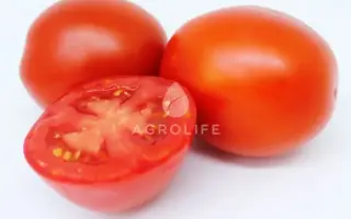 Просідон F1 / Просідон F1