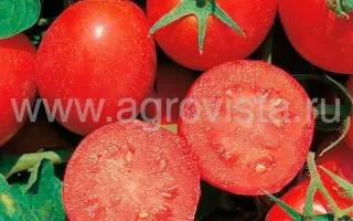 Red Sky / Ред скай