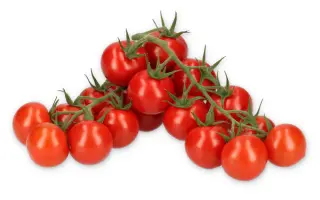 Rexoso / Рексозо