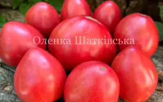 Рожеве серце