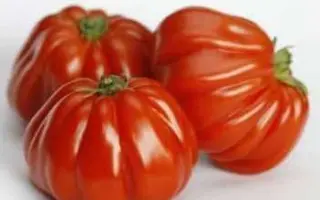 Rugantino / Ругантіно