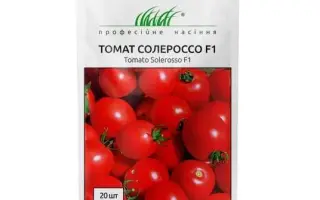 Solerosso / Солероссо