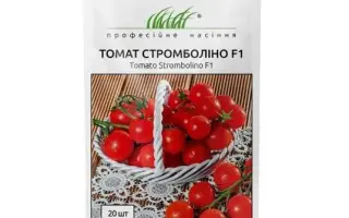 Strombolino / Стромболіно