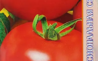 Tanya F1 / Таня F1