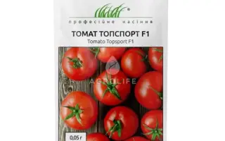 Topsport F1 / Топспорт F1