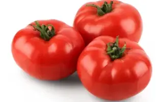 TORELINO / ТОРЕЛІНО