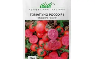 Uno Rosso F1 / Уно Россо F1