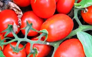 НEINZ 3402 / ХАЙНЦ 3402