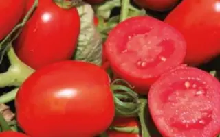 Heinz1648 / Хайнц1648