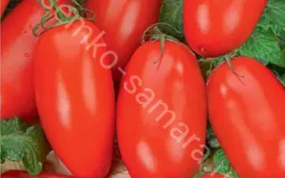 Hyppel 108 F1 / Хайпил 108 F1