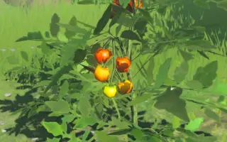 Hyrule / Хайрул