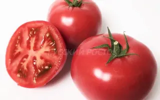 HAKUMARU / ХАКІМАРУ