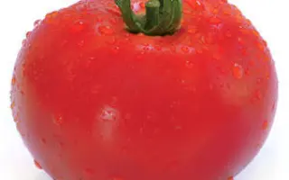 Hitomax / Хітомакс