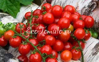 Juanita / Хуаніта