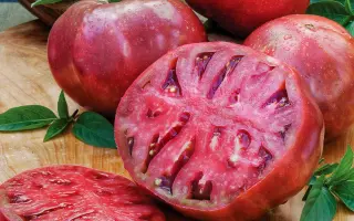 Cherokee / Черокі