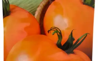 Янтарний богатир