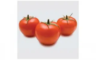 INX 1624 / IНХ 1624