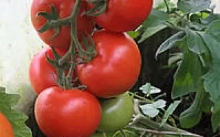 Alindi 811 / Алінді 811