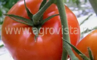 Bomax / Бомакс