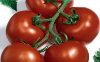 Brilliant F1 / Бриллиант F1