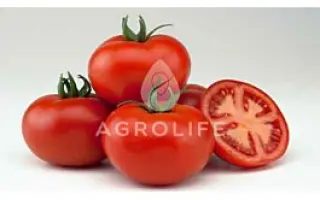 Valday / Валдай