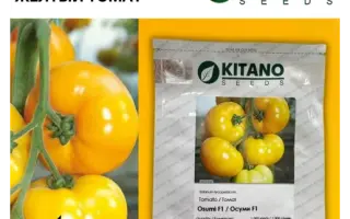 Wasino / Васіно