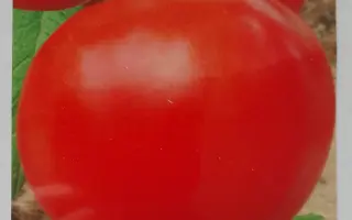 Весняний F1 (для закритого грунту) / Весняний F1