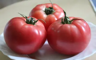 Вивиа F1 / Вівіа F1