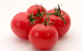 Викторина / Вікторина