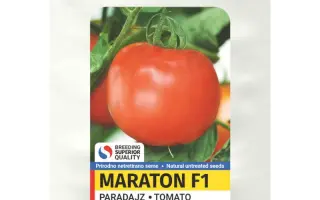 VP Maraton / ВП Маратон