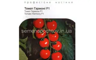 Harmony F1 / Гармоні F1