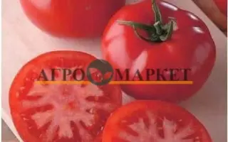 General / Генерал