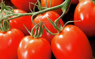 Granitio F1 / Гранит F1