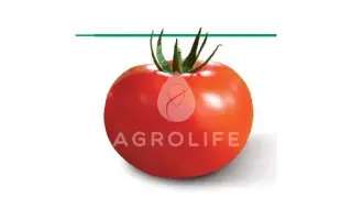 Emotion F1 / Емоушн F1