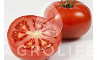 Emrero F1 / Емреро F1