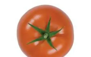 Euforia F1 / Еуфорія F1