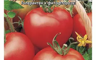 Жаворонок F1 / Жаворонок F1