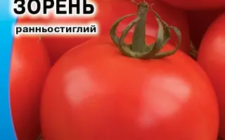 Зорень
